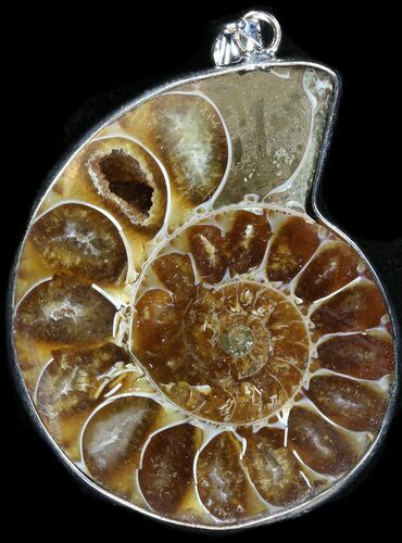 Fossil Ammonite Pendant - Million Years Old #37929